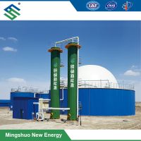 Dry Desulfurization System / Equipment for Removal of Hydrogen Sulfide