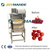 Automatic Cherry Pitting Cherry Core Removing Machine With CE