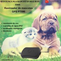 Best Pet GPS Tracking Device