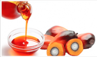 Crude Palm Oil (CPO)