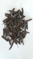 long pepper