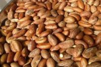 Kola Nuts