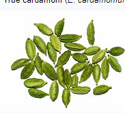 Cardamom