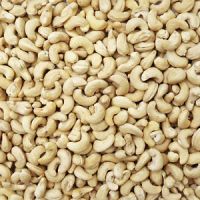 Wholesale for premium quality w240 w320 cashew nuts/cashew kernels
