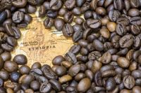 Ethiopian Arabica Coffee