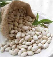 White kidney beans