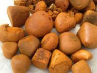 Cow gallstone