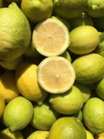 South African yellow Lemons