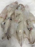 Good Price Frozen Giant Squid/ Loligo Squid_frozen Giant Squid Roe White Squid Whole Loligo High Quality 