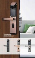 M2 Digital Lock (4 in 1)