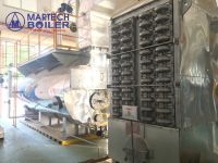Martech Boiler Vietnam ( Asme, En, Jis Standard ) Gas Fired Boiler