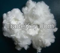 POLYESTER FIBER