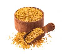 High Quality MUSTARD SEEDS