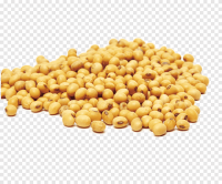 High Quality SOY