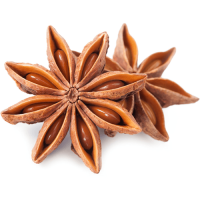 High Quality STAR ANISE SEEDS