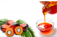 High Quality PALM OIL