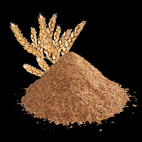 High Quality WHEAT BRAN