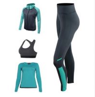 Women sports suit Yoga suit tracksuit long-sleeved zipper jacket + Shi