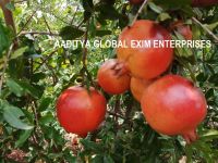 Fresh Fruit Pomegranate