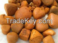 Ox and Cow Gallstones