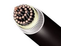 Solid Copper Conductor Insulation Pvc Sheath Armored Control Cable