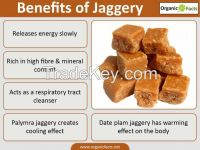Sugarcane Jaggerry powder