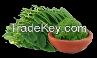 MORINGA LEAF POWDER