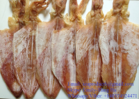 DRIED SQUID