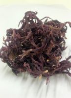 Dried Sea Moss/ 100% Natural Sea Moss From Vietnam With Competitive Price