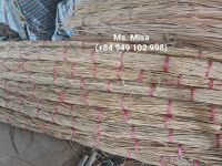 Raw Rattan Trees Are Super Cheap