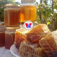 Source Polyfloral &amp;amp; Acacia honey - 100% natural pure honey - high quality from Vietnam
