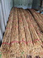 Raw Rattan Trees Are Super Cheap