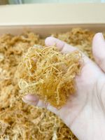 Dried Sea Moss/ 100% Natural Sea Moss From Vietnam With Competitive Price