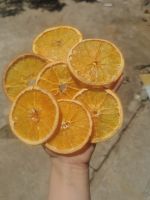 Dried Orange Slices