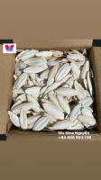 Dried Cuttlebone For Birds High Quality Cuttlefish Bone For Animal Feed from Vietnam