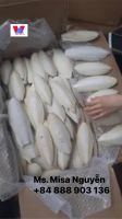 High Quality Dry Cuttlefish Bone Cuttlebone 100% Natural from Vietnam