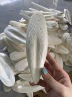 The Best Quality Cuttlefish Bone - Cuttlebone/100% Pure Cuttlefish Bone From Vietnam