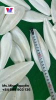 High Quality, Natural Cuttlefish Bone For Traditional Medicine And Bird Feeds