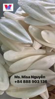 FRESH CUTTLEFISH BONE FOR BEST PRICE | 100% NATURAL DRIED WASHED CUTTLE FISH BONE