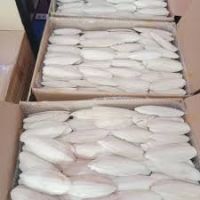 High Quality, Ready to Ship Customization All Size Cuttlefish Bone/ Cuttlebone Export suppliers/ Vietnamese manufacturers