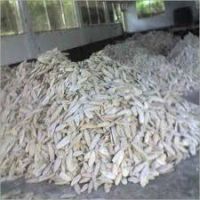 Factory Price Cuttlefish Bone from Vietnam 15% max Moisture For Bird Feed High Quality