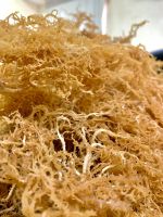 High Quality Culinary Grade Dried Sea Moss for Cooking and Soap Crafting Serena