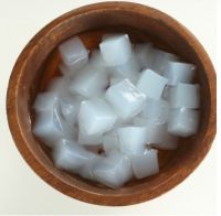 Hot Trending RAW NATA DE COCO in Syrup COCONUT JELLY from Vietnam for drink Serena