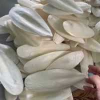 International Quality Cuttlebone Material Dried Cuttlefish Bone or Dried Cuttlebone Made from Vietnam Bag Packaging Body AD