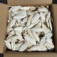 Pet Toys Cuttlebone for Bird pet food pet treats Cuttlefish bone