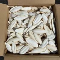 Bird Foods Manufactures From Natural Dried Cuttlefish Squid Bone High Quality Cuttle Bone