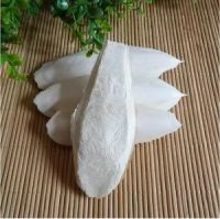BEST SELLER 2023 I 100% Natural Cuttlefish Bone From Vietnam I A special gift for your birds