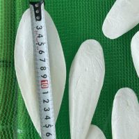 Hot selling Cuttlefish Bone- Cuttlefish Bone for toys bird in Vietnam