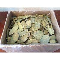 Wholesale Cooking Seasoning Dried Bay Leaves From Vietnam