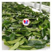 NATURAL DRIED SOURSOP LEAF WITH HIGH QUALITY AND LOW PRICE 100% NATURAL